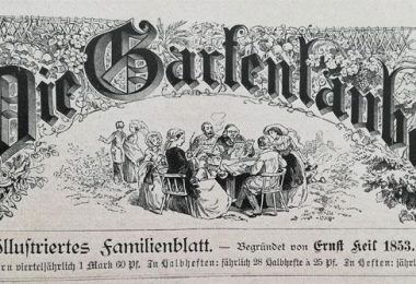 Die Gartenlaube, Illustriertes Familienblatt, erschienen im Jahr 1893