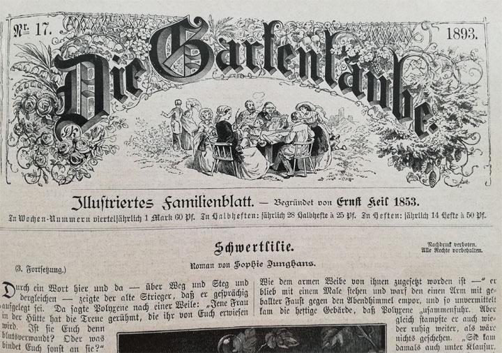 Die Gartenlaube, Illustriertes Familienblatt, erschienen im Jahr 1893